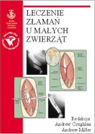 Lokalna okładka