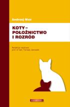 Lokalna okładka