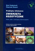 Lokalna okładka
