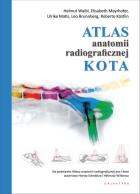 Lokalna okładka