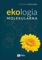 Lokalna okładka