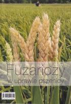 Lokalna okładka