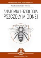 Lokalna okładka