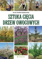 Lokalna okładka