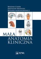 Lokalna okładka