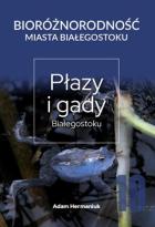 Lokalna okładka