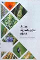 Lokalna okładka