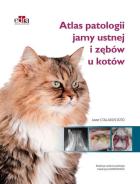 Lokalna okładka