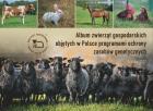 Lokalna okładka