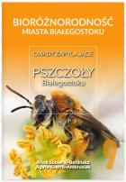 Lokalna okładka
