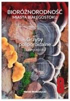 Lokalna okładka