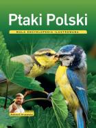 Lokalna okładka