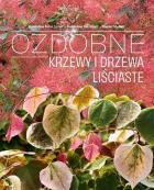 Lokalna okładka