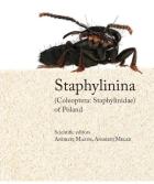 Lokalna okładka