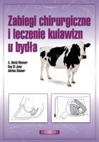 Lokalna okładka
